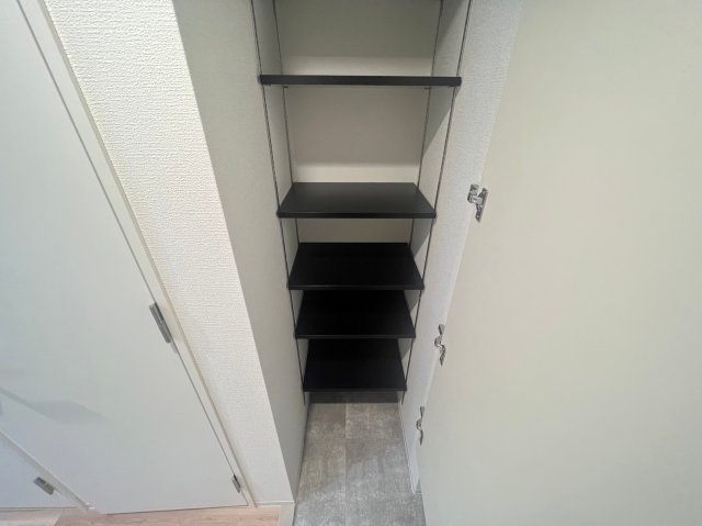 セレニテ日本橋ミラクの収納
