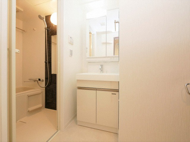 エグゼ難波南Ⅵの洗面所