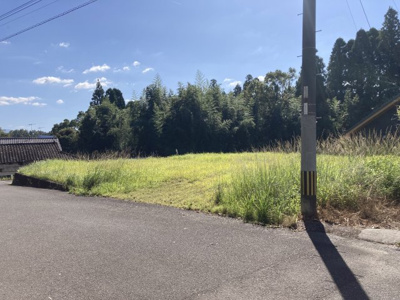 【外観】 | 樋脇町塔之原　土地