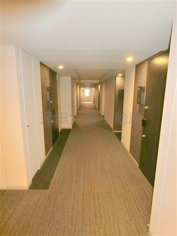 パークアクシス蒲田ステーションゲートのその他共用部分|共用廊下　カーペット敷きの内廊下