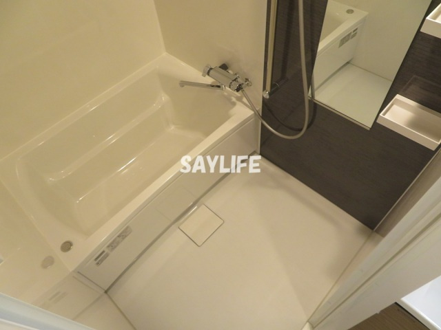 Gran Paseo south (グランパセオサウス）の浴室