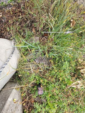 マキノ町高木浜１丁目200坪土地のその他|境界線