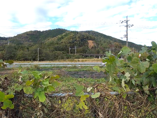 マキノ町高木浜１丁目200坪土地の周辺