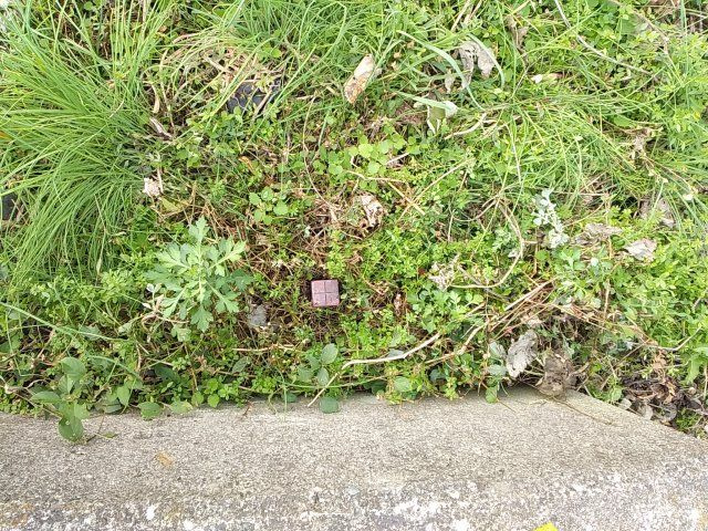 マキノ町高木浜１丁目200坪土地