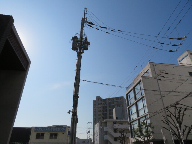 さくら三左衛門堀の展望