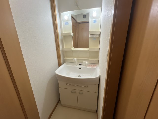メゾンプラースⅡの洗面所