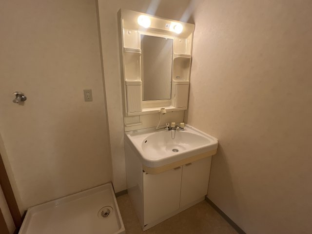 ナカヤコーポS棟の洗面所