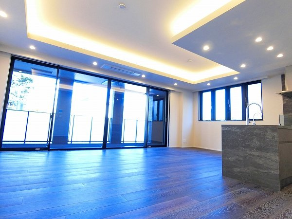 港区三田２丁目の賃貸マンションのその他|リビング