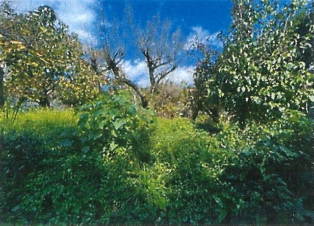 あきる野市三内　売地の外観