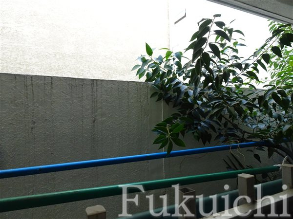 ばらハイツの展望