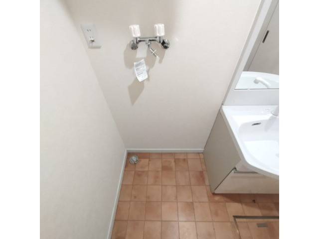 セントポプラのその他