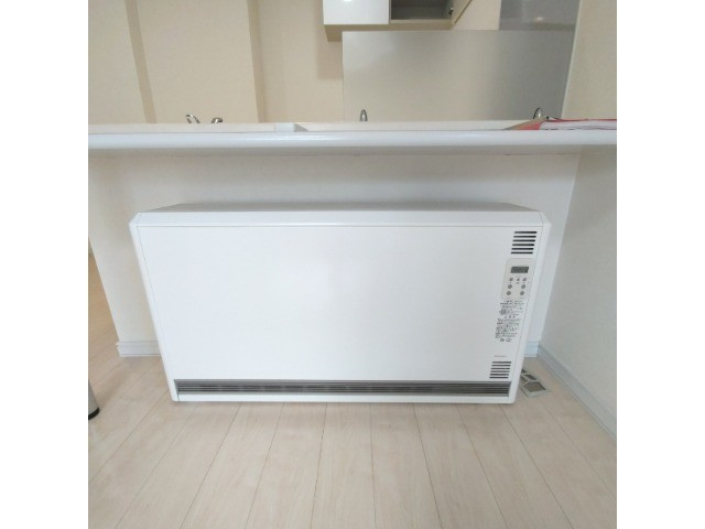 セントポプラのその他