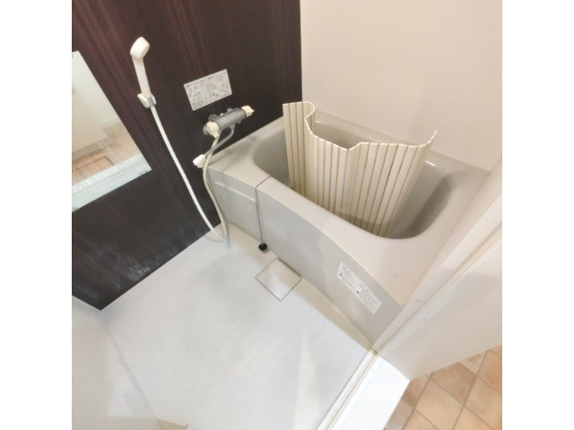 セントポプラの浴室