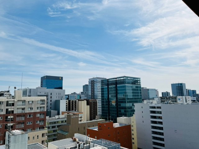 仲介手数料0円！！ライブコート丸の内1503の展望