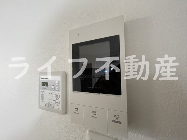 F asecia Ruminaのセキュリティ