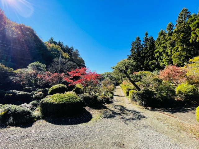 日の出町大久野　中古戸建の庭|周辺は自然豊かな環境です！