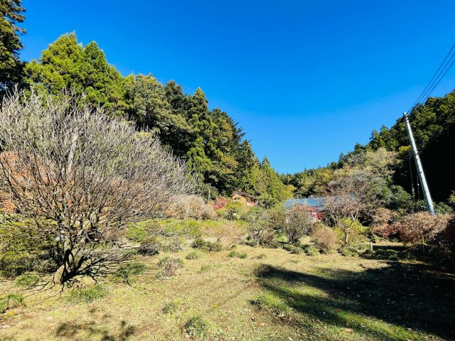 日の出町大久野　中古戸建の庭|周りは自然いっぱいです！