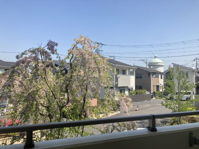 CRESCENT　COURTの展望