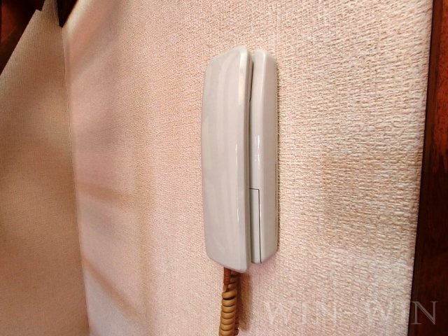 セザンヌ野依 2のセキュリティ|イメージ（同施工会社同一モデルの写真です）
