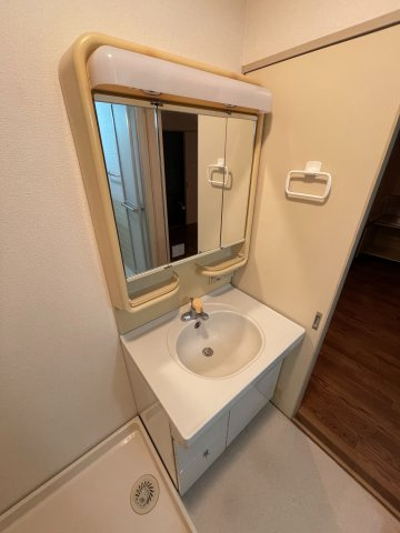 Kフラットの洗面所