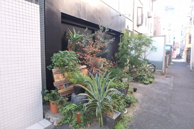 ネクサス木月の展望