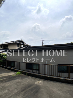 【展望】 | タウニィニューパイン