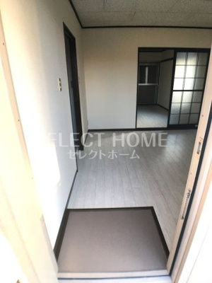  | タウニィニューパイン