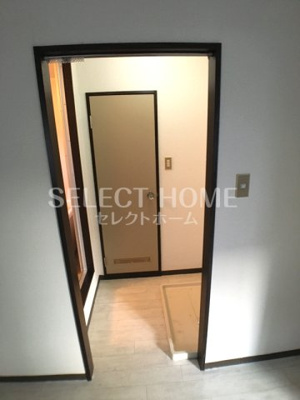  | タウニィニューパイン