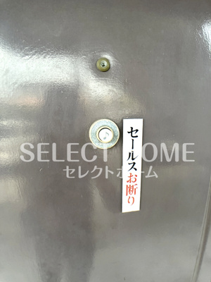  | タウニィニューパイン