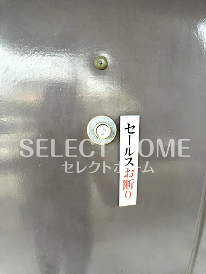  | タウニィニューパイン