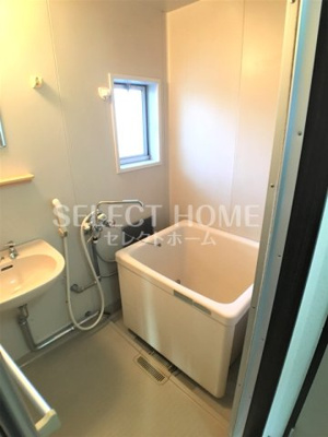  | タウニィニューパイン