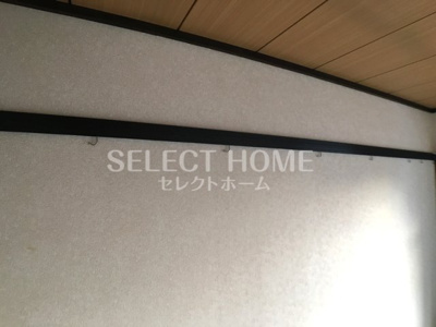  | タウニィニューパイン