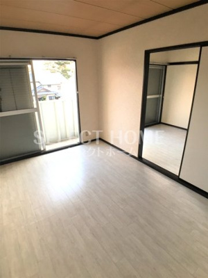  | タウニィニューパイン