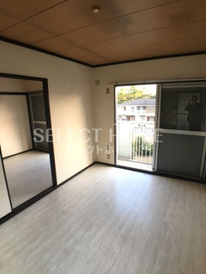  | タウニィニューパイン