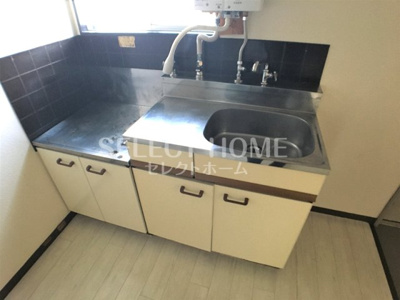  | タウニィニューパイン