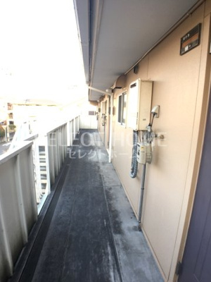  | タウニィニューパイン