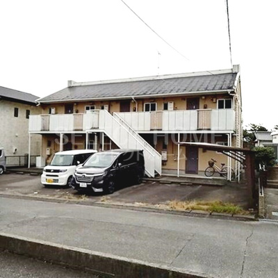  | タウニィニューパイン