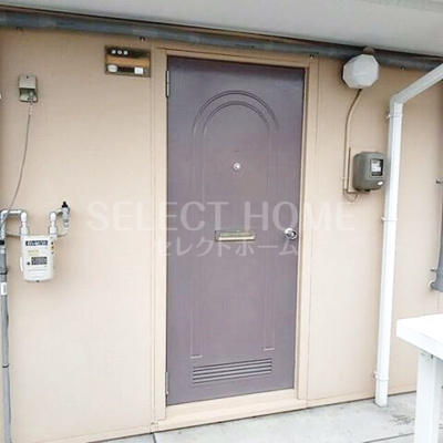  | タウニィニューパイン