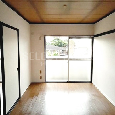  | タウニィニューパイン