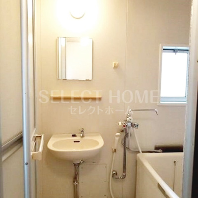  | タウニィニューパイン