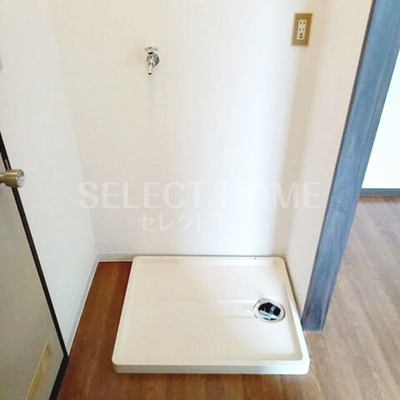  | タウニィニューパイン