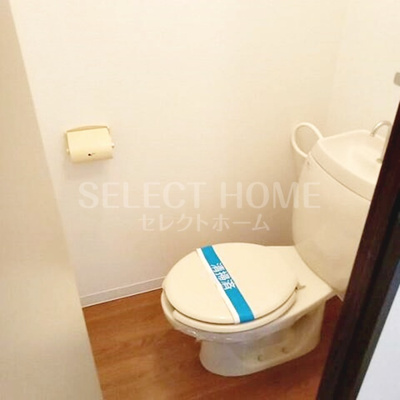  | タウニィニューパイン