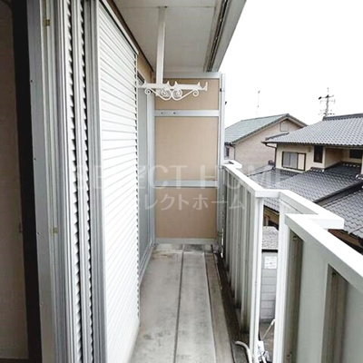  | タウニィニューパイン