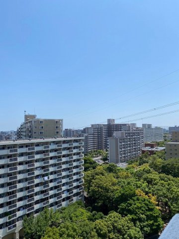 清新北ハイツ7号棟　12階の展望