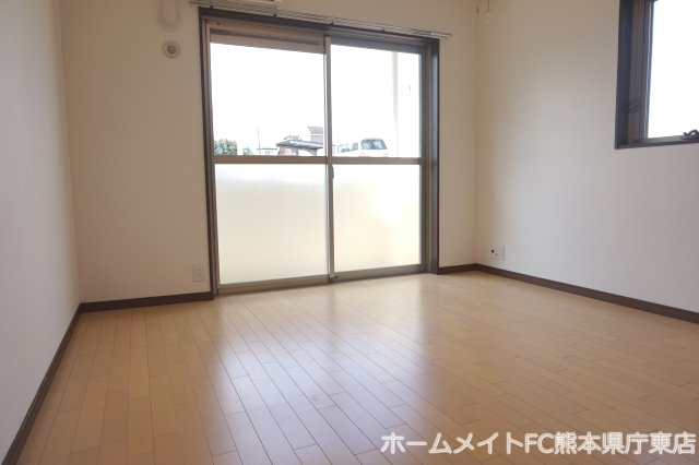熊本市東区新外２丁目の賃貸マンションの内装