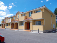 ライスヘッドの画像