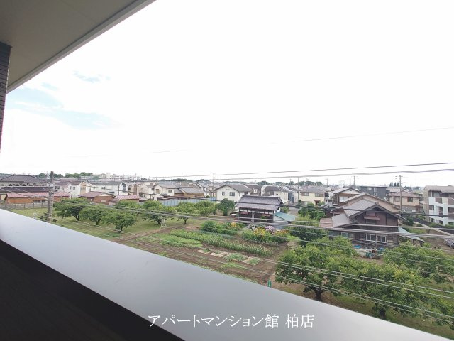 パーシモンNの展望