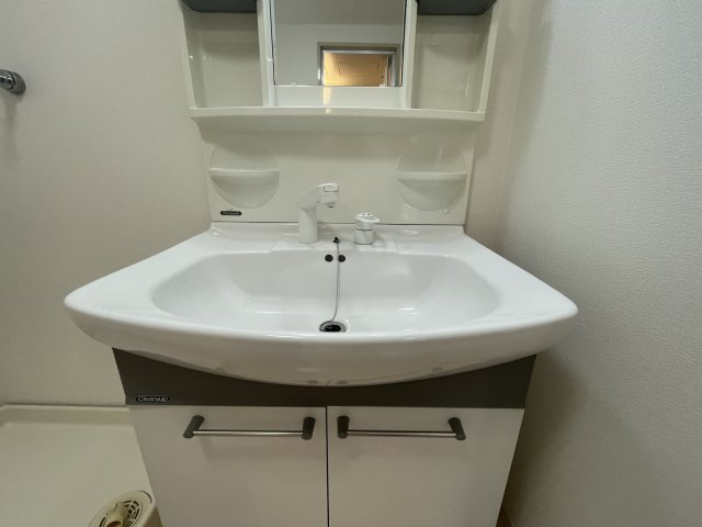 マーブルコートの洗面所