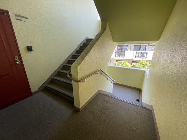 マーブルコートのその他