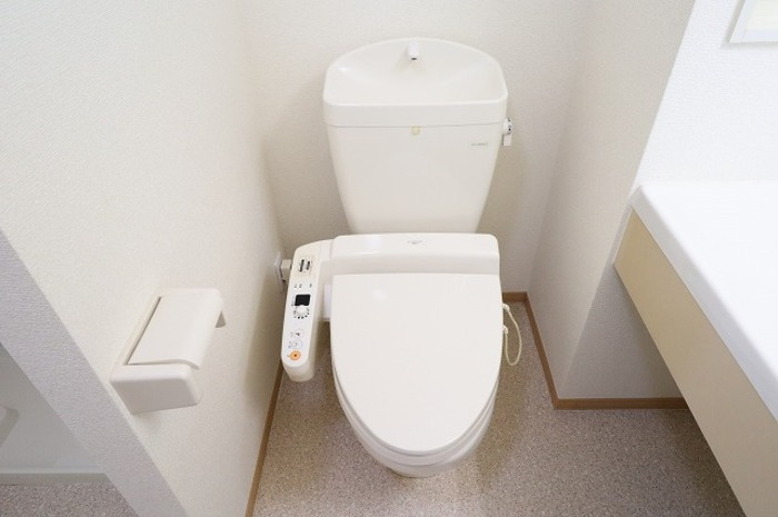 セジュール向山のトイレ